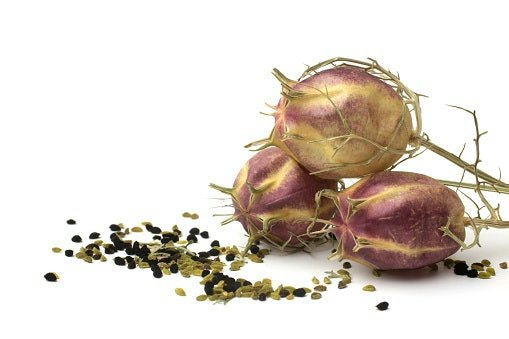 Cara mengetahui perbedaan habbatussauda asli dan palsu