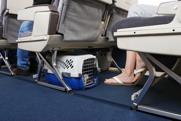 Utamakan pet cargo yang memenuhi standar IATA jika Anda mau bepergian dengan pesawat
