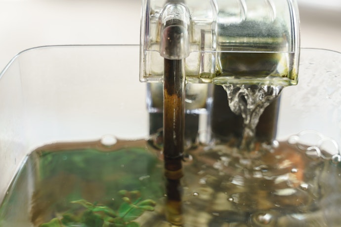 Untuk aquarium 20 liter ke atas, utamakan hanging filter