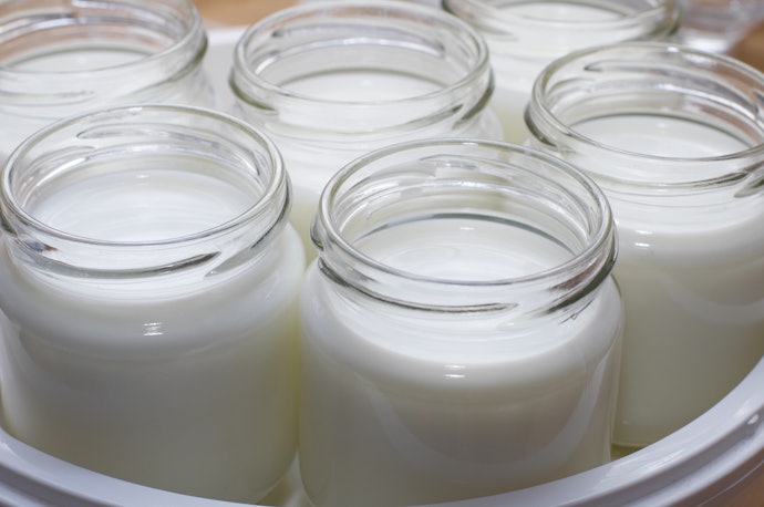 Cara membuat yoghurt dengan bibit yoghurt