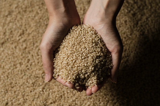 Pilih hyunmi (brown rice) kalau Anda mencari beras korea untuk diet