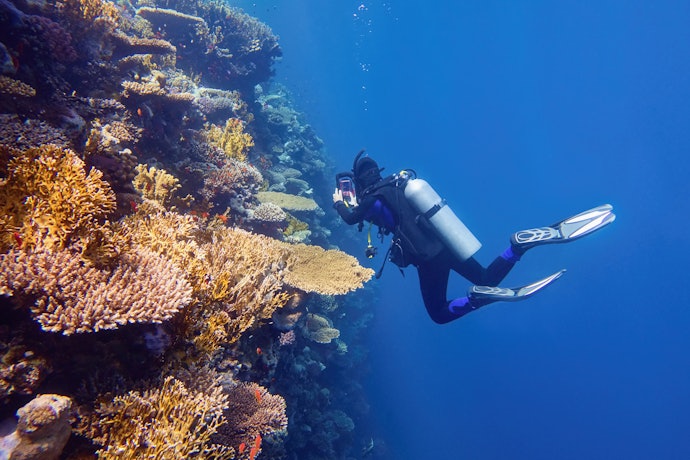 Untuk diving, pastikan kamera bisa dibawa menyelam hingga 18 meter atau lebih