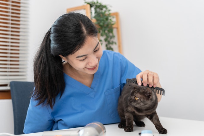 Pastikan usia anak kucing Anda sudah mencapai 8 minggu sebelum memandikannya
