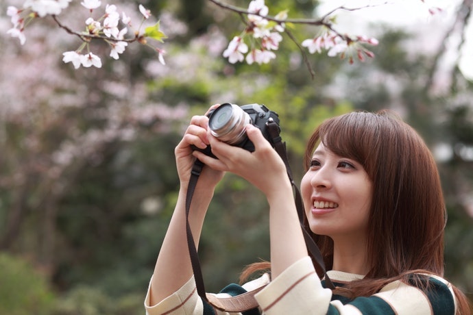 Ketahui fungsi stabilisasi gambar