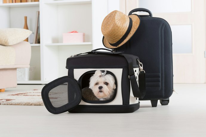 Agar makin portable, dapatkan pet cargo dengan handle dan roda