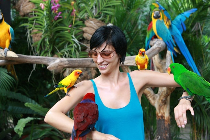 Bagi Anda yang liburan keluarga bersama anak, cari tempat yang fun dan nyaman seperti Waterbom Bali atau Bali Bird Park