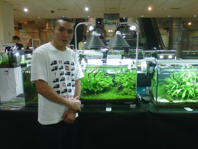 Tips membersihkan aquarium untuk pemula dari aquascaper kami, Alfitrah Hanif Saragih