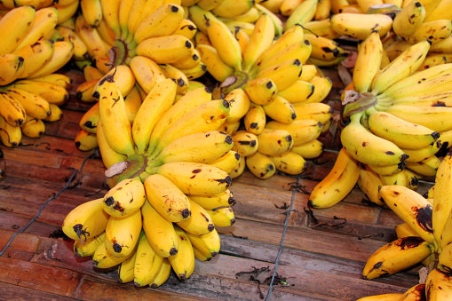 Ketahui jenis pisang untuk sale
