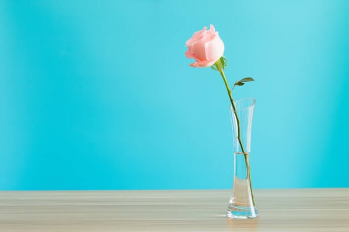 Pilih vas bunga single jika hanya memajang satu bunga