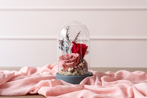 Jika Anda mencari hiasan meja yang unik, pertimbangkan preserved flower dome atau preserved flower lamp