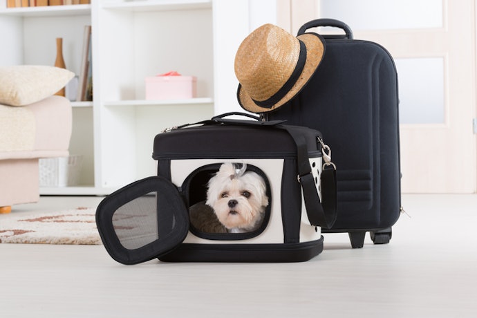 Agar makin portable, dapatkan pet cargo dengan handle dan roda