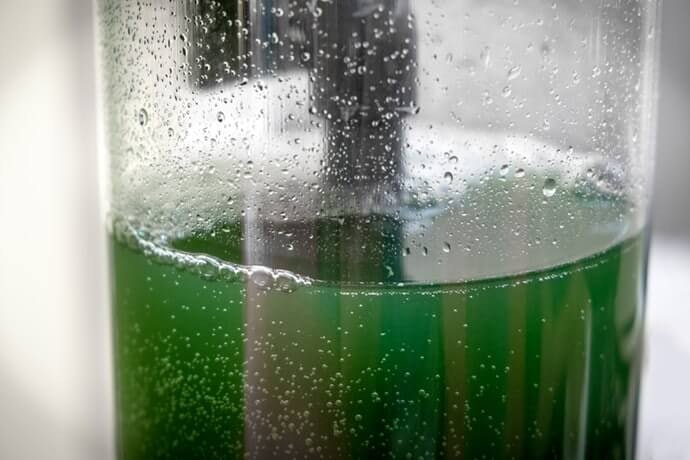 Pilihlah spirulina murni tanpa campuran untuk mendapatkan efek maksimal