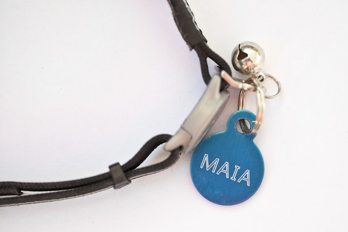 Pilih pet tag dengan bahan yang kuat dan tahan lama