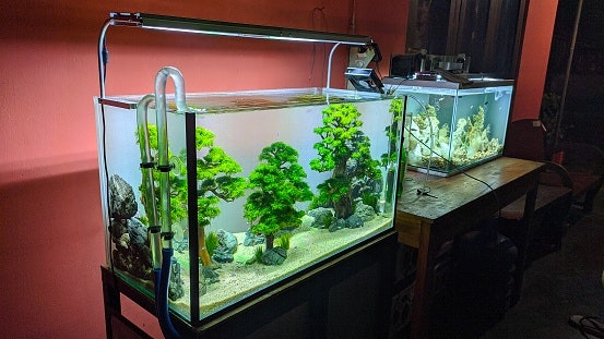 Sesuaikan ukuran lampu dengan akuarium