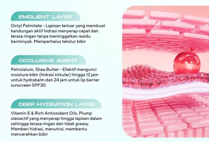 Pastikan lip balm minimal mengandung dua jenis pelembap, seperti "humektan + emolien" atau "humektan + oklusif"