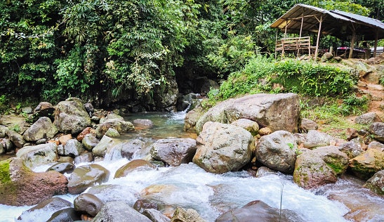Pilih restoran di Sentul untuk Anda yang mempertimbangkan kemudahan akses dari kota lain