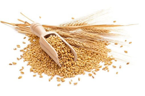 Jika tidak punya masalah dengan gluten, pertimbangkan yang persentase gandum utuhnya lebih tinggi