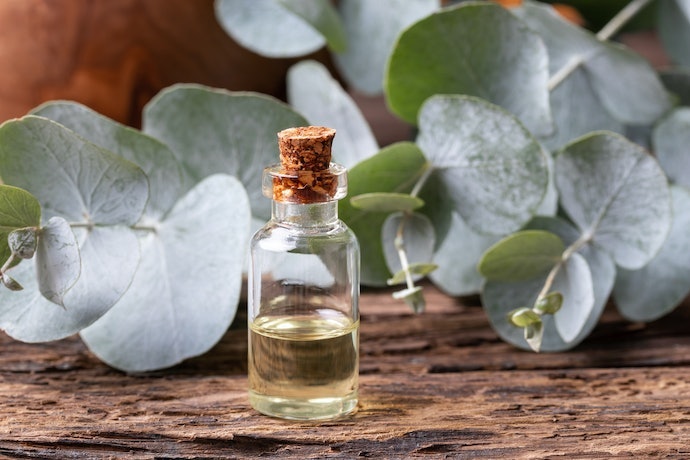 Tenangkan iritasi pada bibir dengan menggunakan produk yang diperkaya bahan anti-iritan seperti jojoba oil dan cocoa butter
