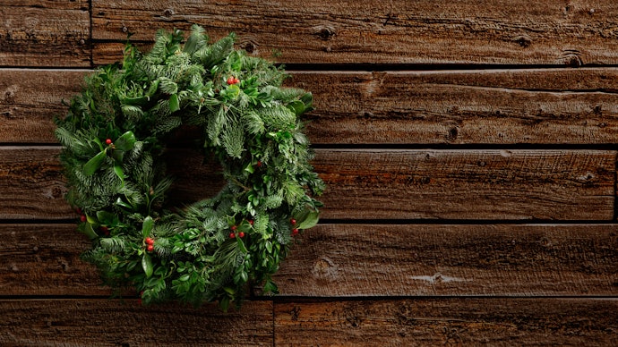 Jika ingin lebih meriah, carilah mistletoe yang lebat dan tebal