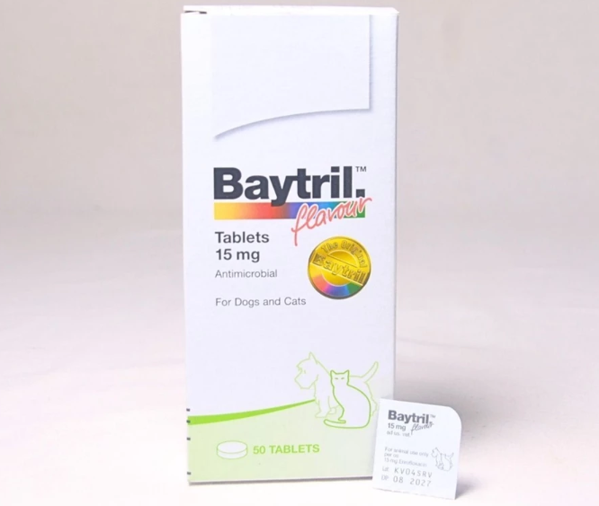 Pilih obat flu bentuk bubuk, cair, kapsul, atau tablet sesuai dengan karakter kucing