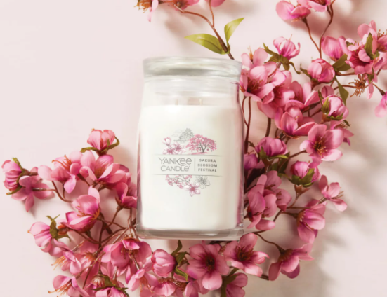 Kenali aromanya berdasarkan top, middle, dan base notes-nya