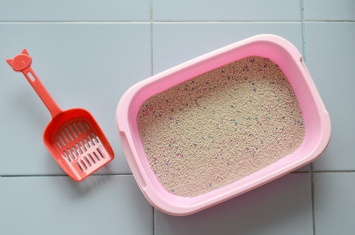 Pertimbangkan litter box tanpa sistem yang rumit untuk kemudahan pembersihan