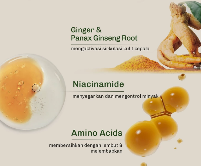 Apabila rambut patah dan bercabang, utamakan kandungan hydrolyzed protein dan asam amino
