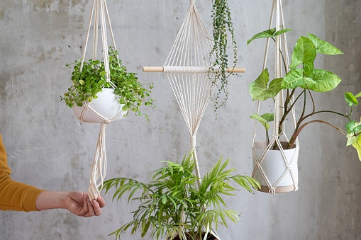 Pilih pot gantung dengan tali kain yang cantik untuk memperkuat nuansa shabby chic