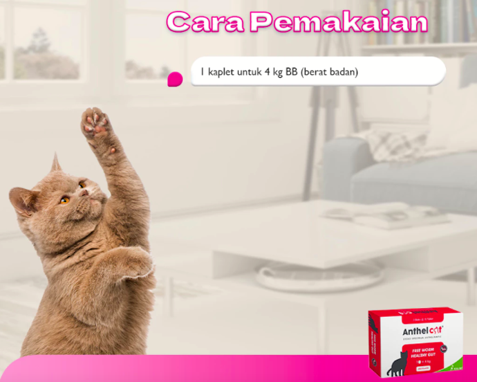 Pastikan dosisnya sesuai berat badan; 10–20 mg/kg untuk anak kucing dan 30 mg/kg untuk kucing dewasa