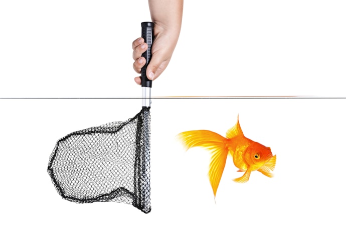 Sesuaikan ukuran saringan dengan ukuran ikan