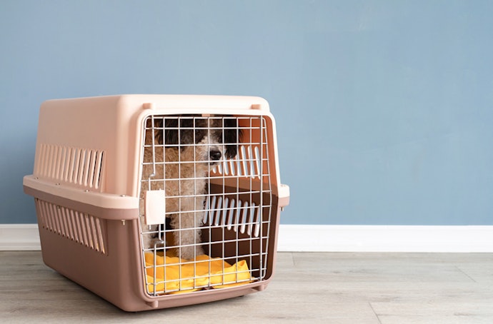 Untuk anjing dengan bobot kurang dari 5 kg, pilih pet cargo dengan dimensi 60 cm x 45 cm x 53 cm