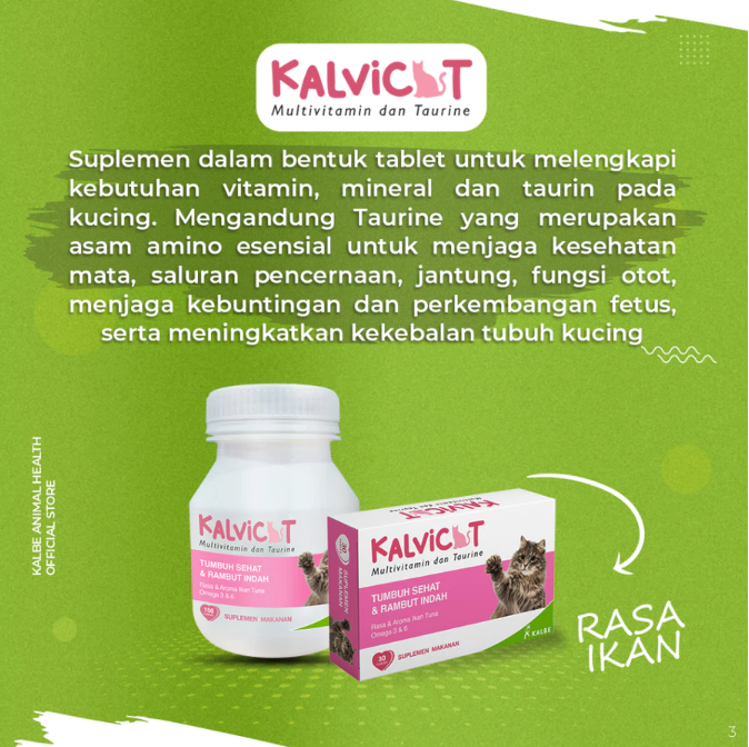 Jika kucing sakit atau dalam masa pemulihan: Utamakan multivitamin atau suplemen sesuai kebutuhan nutrisinya