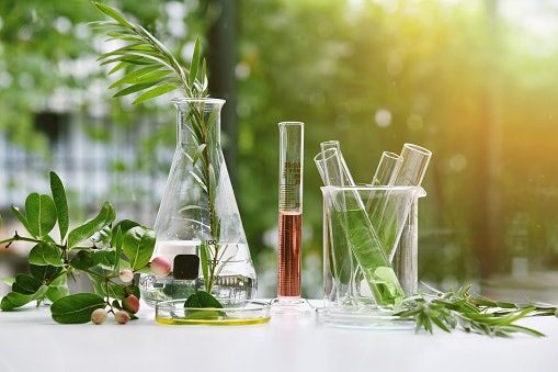 Namun, jika kulit Anda berjerawat, utamakan plant oils saja