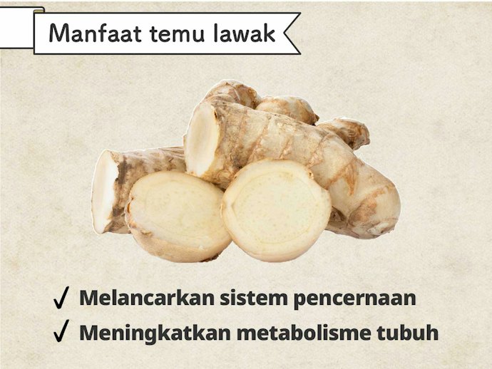 Temu lawak: Meningkatkan nafsu makan sekaligus menjaga organ hati