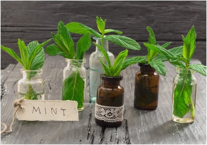 Kandungan pewangi, untuk memberikan aroma pada kulit