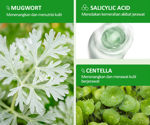 Jika kulit sensitif, prioritaskan yang dilengkapi soothing agent seperti Centella asiatica atau Aloe vera