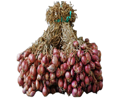 Varietas Mentes, persilangan dua jenis bawang merah dengan umbi berwarna merah pucat