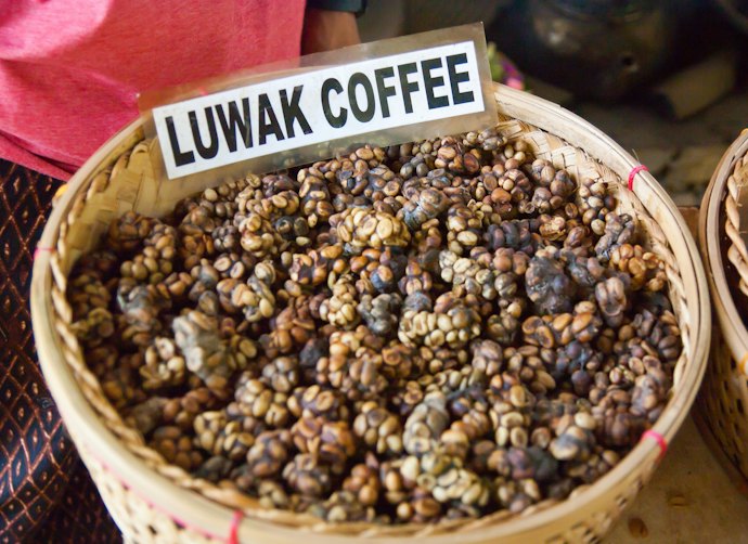 Biji kopi, cocok untuk yang memiliki alat penggiling kopi dan memprioritaskan rasa