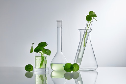 Centella asiatica, tea tree, dan salicylic acid: Efektif mengontrol minyak sekaligus meredakan peradangan