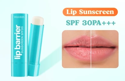 Akan lebih baik bila lip balm memiliki label "SPF maupun PA"