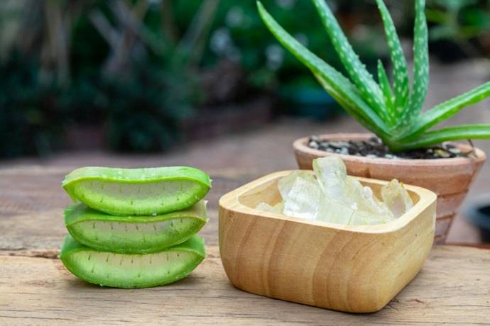 Untuk mengatasi rambut rontok, pilih hair creambath yang mengandung Aloe vera atau ginseng