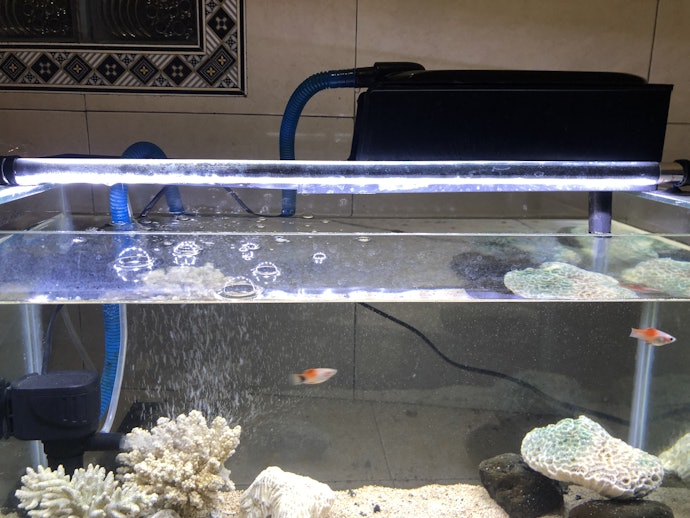 Untuk pemula, sebaiknya pertimbangkan top filter