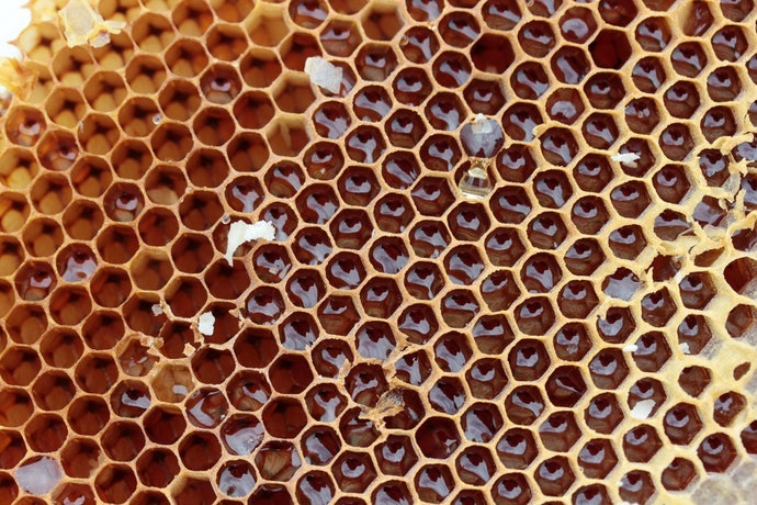 Propolis murni: Memiliki kandungan flavonoid, vitamin, dan mineral paling tinggi