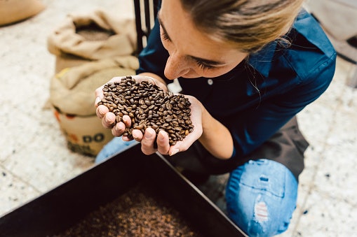Fitur profil roasting, replikasi proses roasting secara akurat
