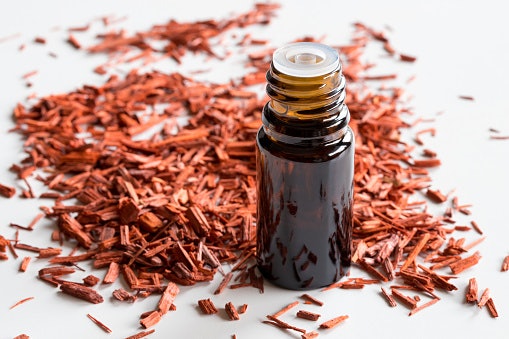 Woody scent, berkesan dewasa dan misterius