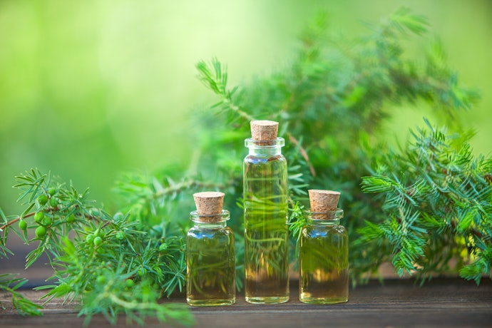 Anti-inflamasi dan antiseptik, membantu mengempiskan dan tidak memperparah jerawat