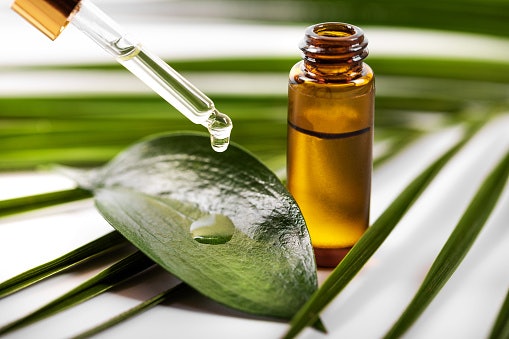 Jika kulit Anda berminyak dan berjerawat, pertimbangkan pula keberadaan tea tree oil sebagai bahan antibakteri