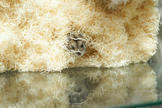 Kandang aquarium, aman dan jarang bermasalah