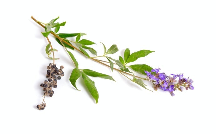 Bahan herbal, kaya akan manfaat
