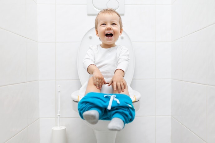Potty multifungsi, untuk penggunaan jangka panjang